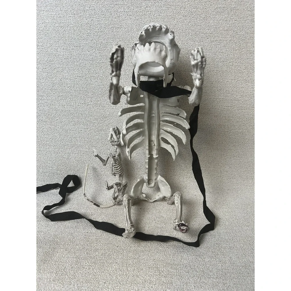 Skeleton Dogs Halloween Decorations Realistic Bones Scary Horror Lot 2